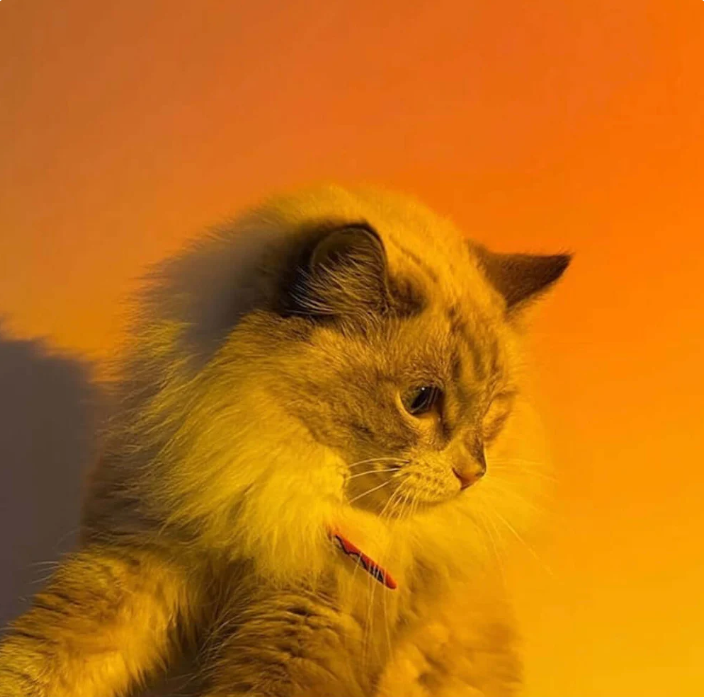 Sunset Lamp Projector 16 Color LED Light